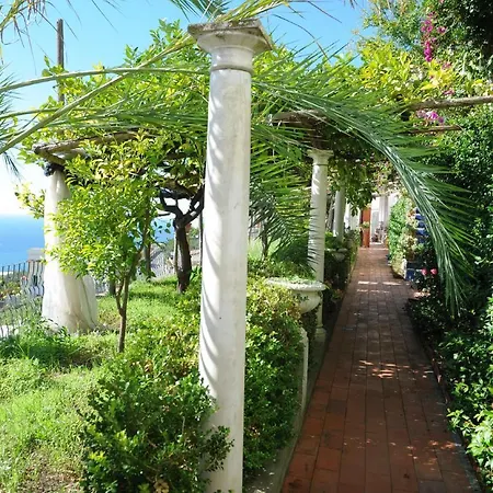 Paradiso *